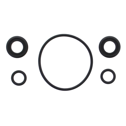 VERTEX INJECTOR O-RING 725003