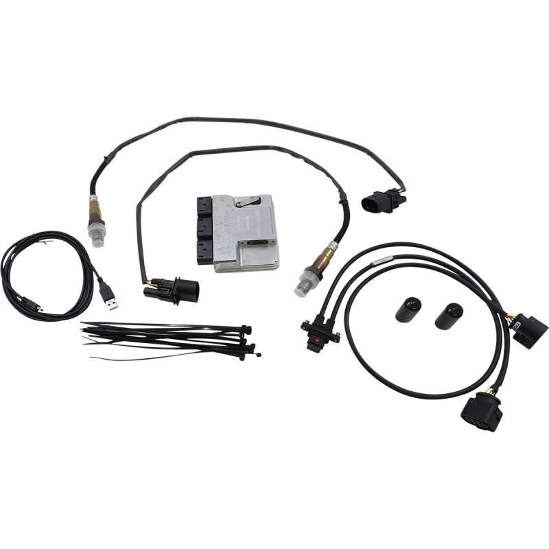 THUNDER HEART PERFORMANCE 17-19 TOURING MODELS CONTROLLER 309-588