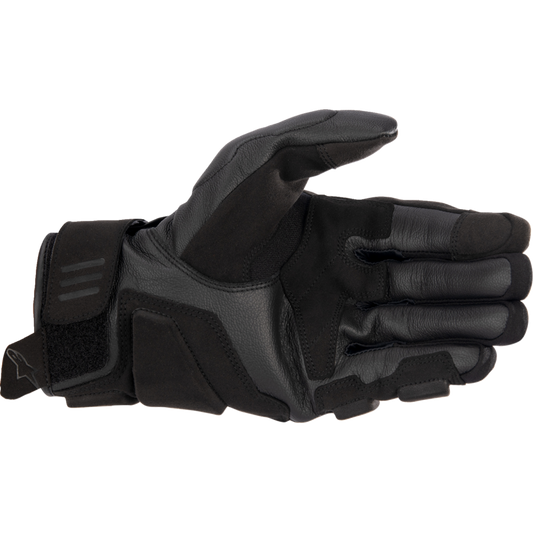 ALPINESTARS (ROAD) GLOVE PHENOM BLK/WT L 3501723-12-L