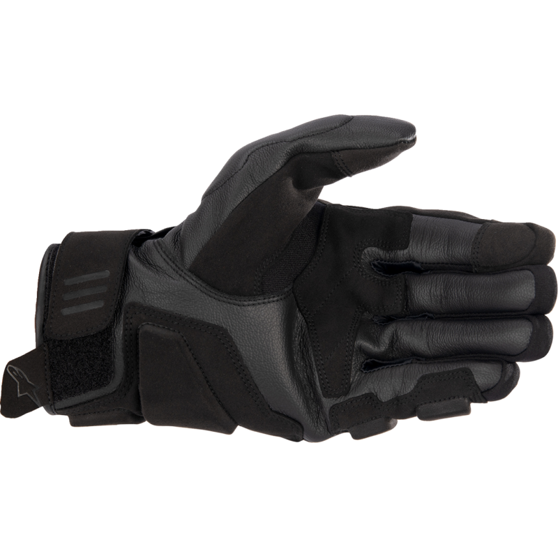 ALPINESTARS (ROAD) GLOVE PHENOM BLK/WT M 3501723-12-M
