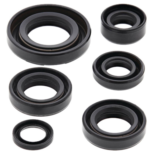 VERTEX OIL SEAL KIT 822224