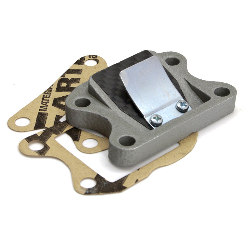 DOPPLER REED VALVE CARBON S3R SPEEDFIGHT/VIVACITY 2009 365144