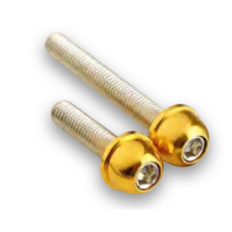 TUN R SCREW CONICAL TUNR CVT COVER BWS GOLD (12PCS) 460017