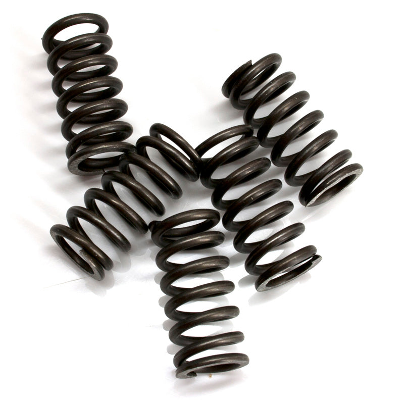 MALOSSI CLUTCH SPRINGS DERBI GPR. 2912018