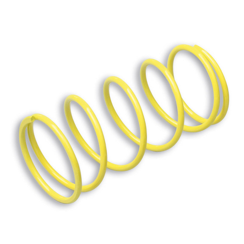 MALOSSI VARIATOR SPRING SUPER REINFORCED BW'S NEXT 02-09. 297045