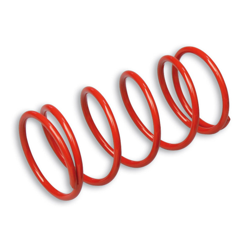 MALOSSI VARIATOR SPRING RACING BW'S NEXT 02-09. 297076