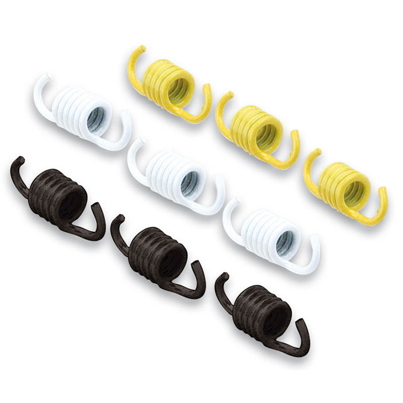 MALOSSI CLUTCH SPRINGS HYOSUNG 29 7454