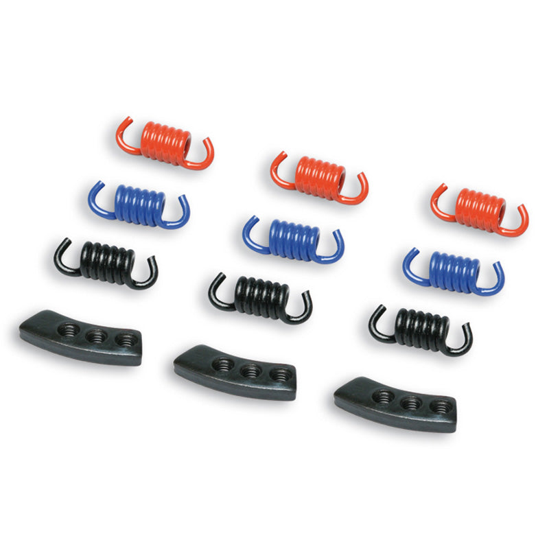 MALOSSI CLUTCH SPRING. FLY/DELTA RACING SERIE (9PCS). 29 8747S