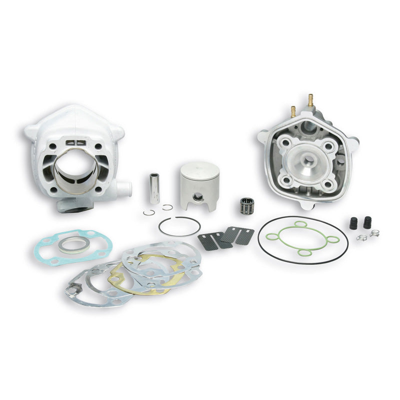 MALOSSI CYLINDER+HEAD. ALUM. PIN 12 H2O MHR 31 8460