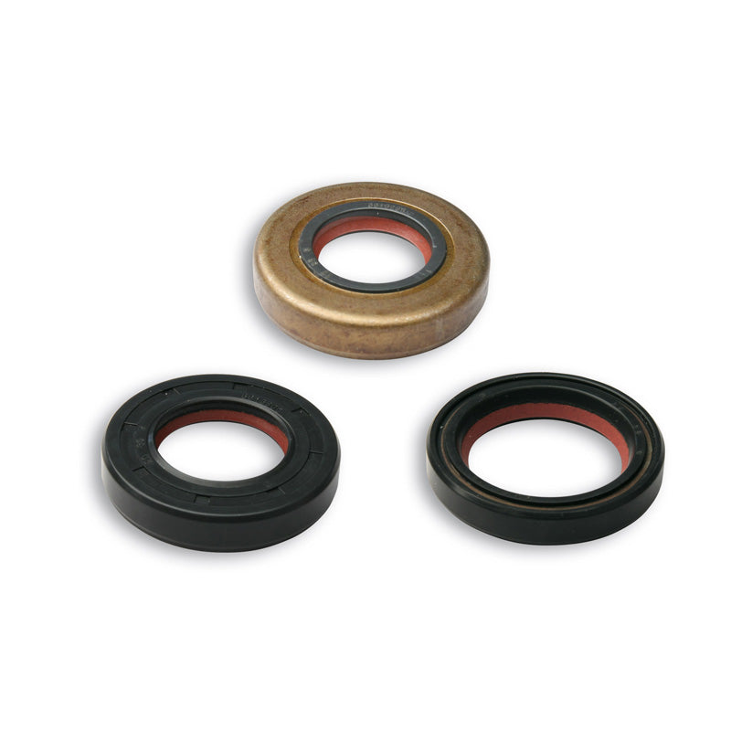 MALOSSI JEU PARE-HUILE FKM/PTFE PIAGGIO 6618167