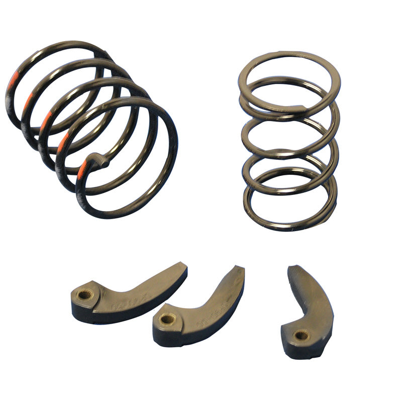 DALTON SPORTSMAN 400 CLUTCH KIT (O/S). DBT400SP