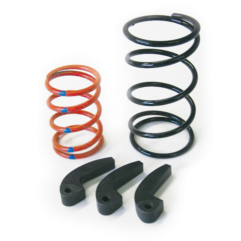 DALTON SPORTSMAN 500EFI CLUTCH KIT. DBW 500EF