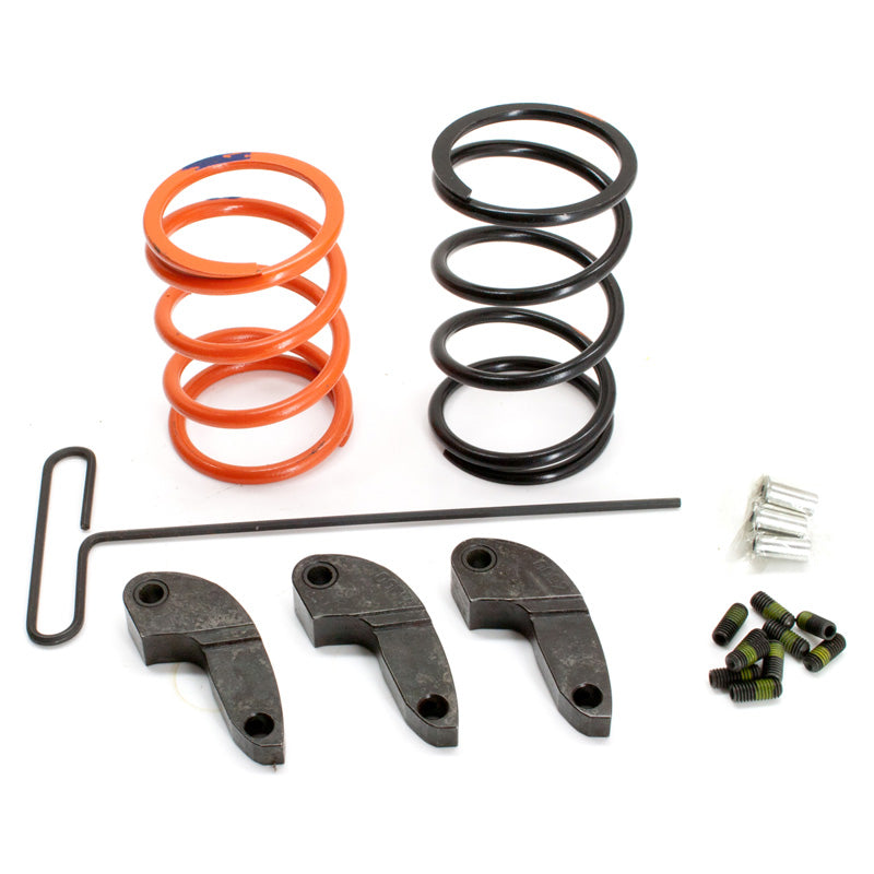 DALTON SPORTSMAN 850 CLUTCH KIT. 09-10 DP850