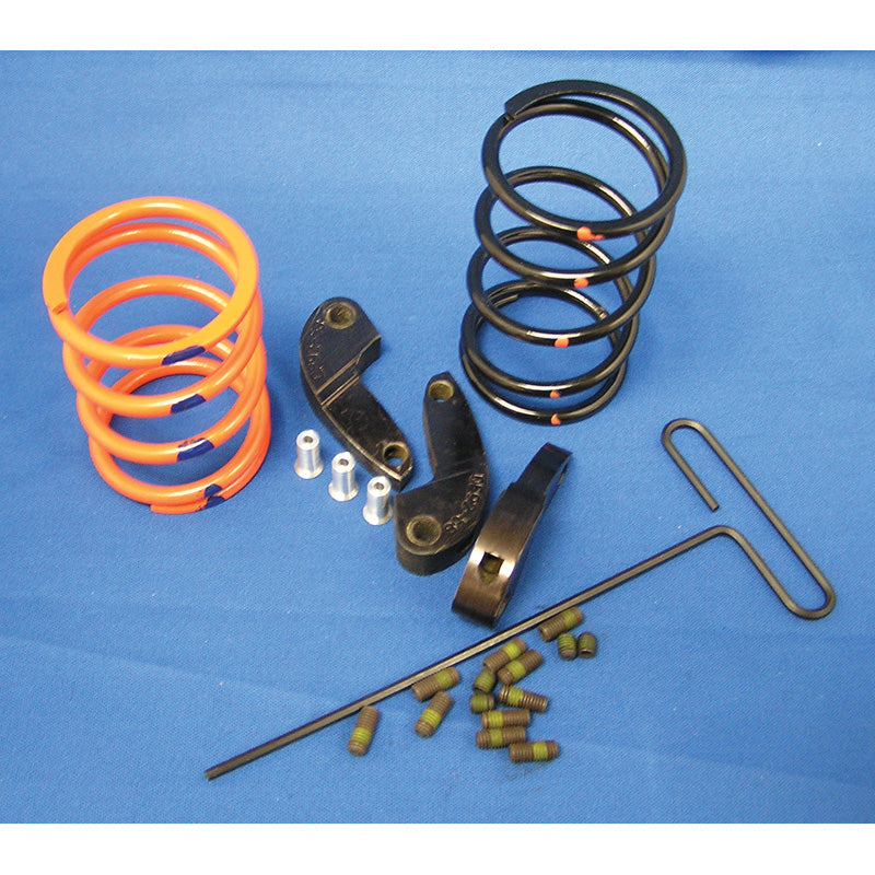 DALTON SPORTSMAN 850 CLUTCH KIT. 09-10 DP850