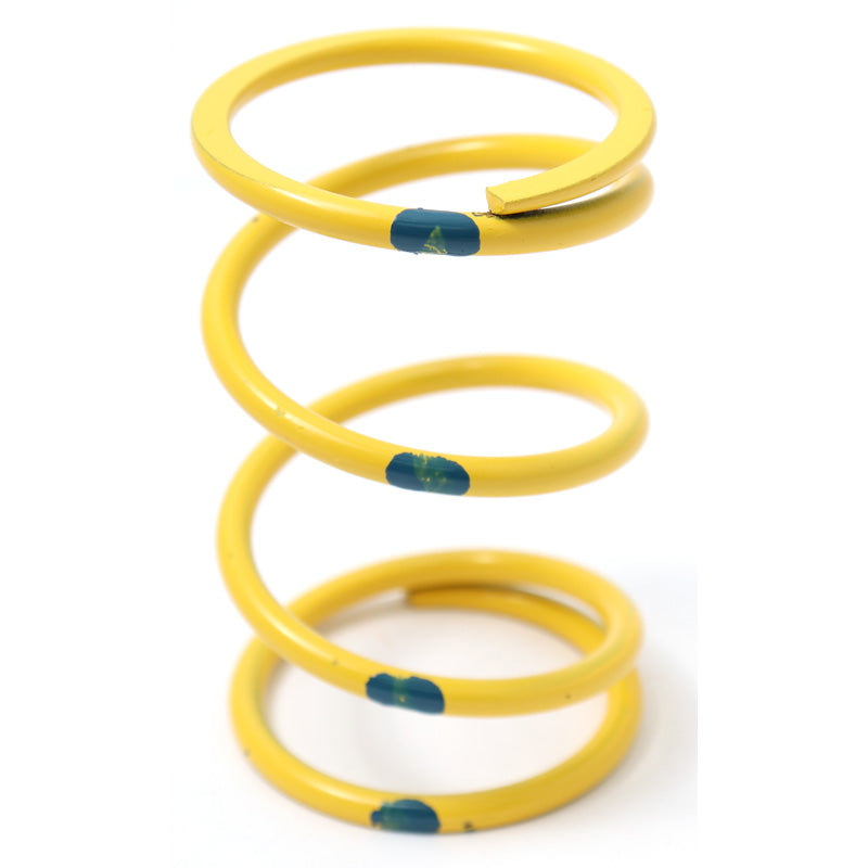 DALTON PRIMARY SPRING YELLOW/BLUE DPPS-Y_BL