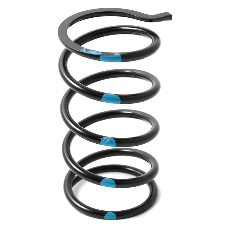DALTON SECONDARY SPRING BLACK/BLUE DPSS-B_BL-T