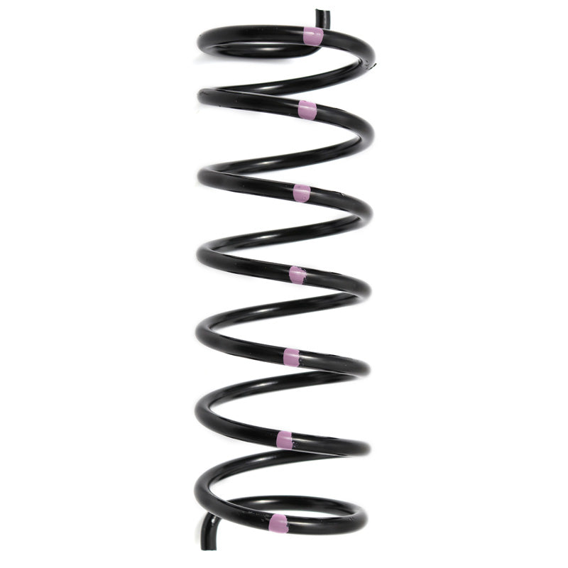 DALTON SECONDARY SPRING BLACK/VIOLET DPSS-B_V