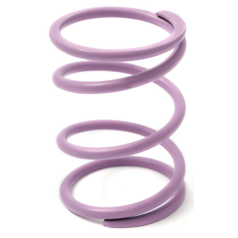DALTON SECONDARY SPRING VIOLET DPSS-V