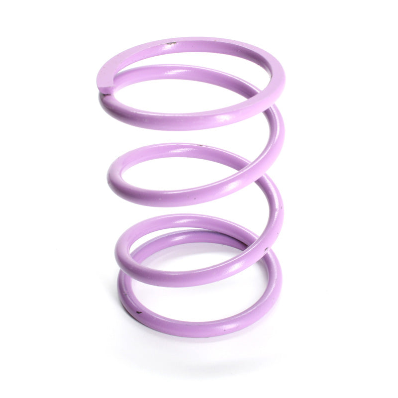 DALTON SECONDARY SPRING VIOLET DPSS-V