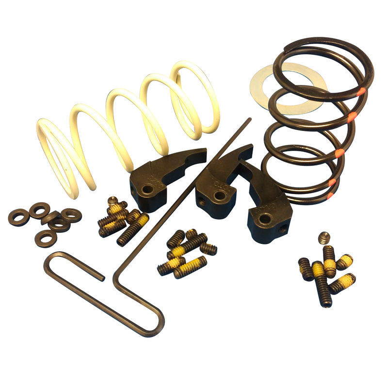 DALTON CLUTCH KIT DALTON WILDCAT 700 14+ DUV A700