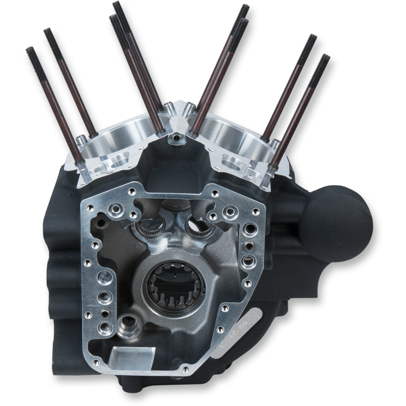 S&S CYCLE CRCASE,ASSBLY,STK BOR,ALTERR,PACKAGED,WBLK,06-17 DYNA 310-0878