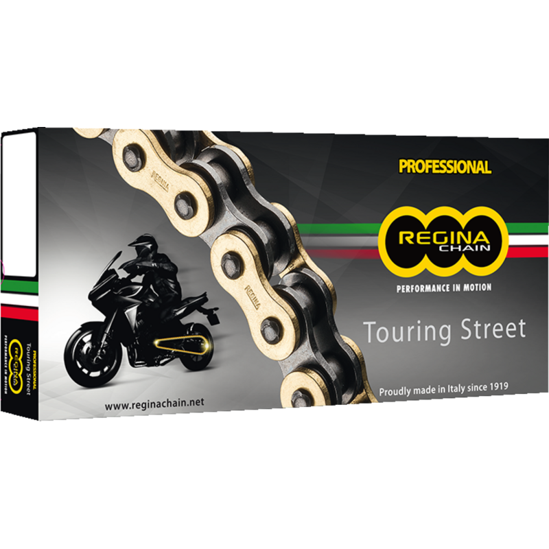 REGINA REGINA 530 RT CHAIN 110 LINKS 136RT/1006