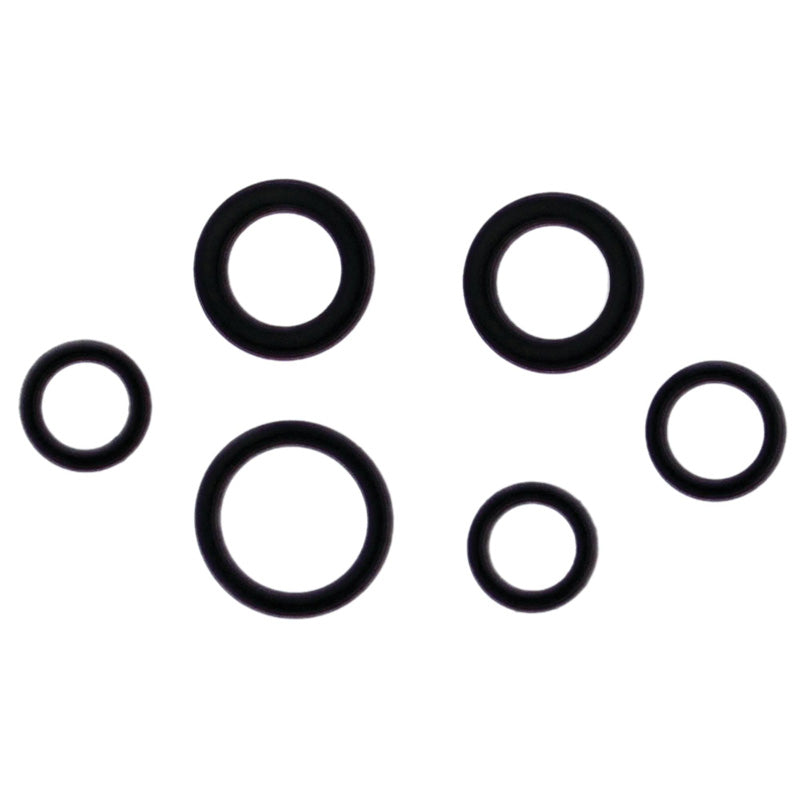 VERTEX INJECTOR O-RING 725005