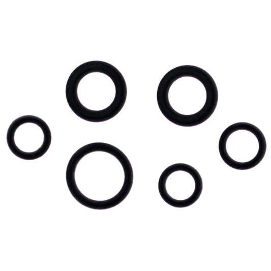 VERTEX INJECTOR O-RING 725005