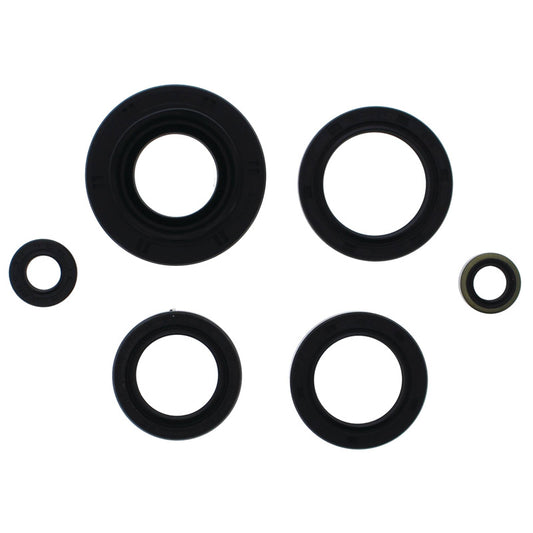 VERTEX OIL SEAL KIT 822366