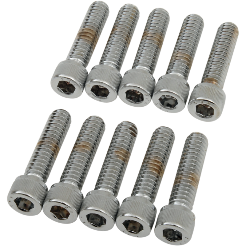DRAG SPECIALTIES 1/4-20*1 ALLEN BOLTS(10) CY-CHROME MPB181