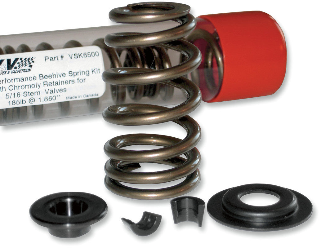 AV&V 84-04 B/T B/HIVE VALVE SPR KIT .600 VSK6000S