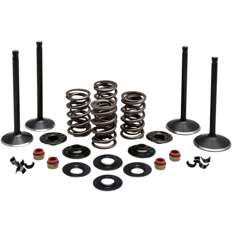 KIBBLEWHITE ENGINE KIT 1984-99 HD EVOLUTION 20-22650