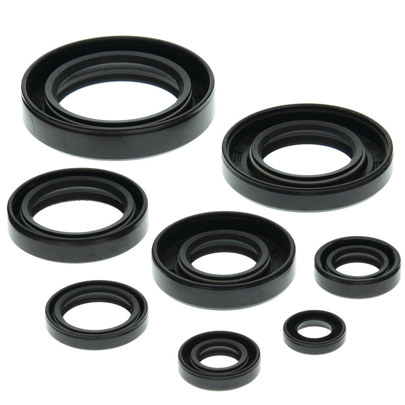 VERTEX OIL SEAL KIT ATC250R 85-86/TRX250R 86-89 822147