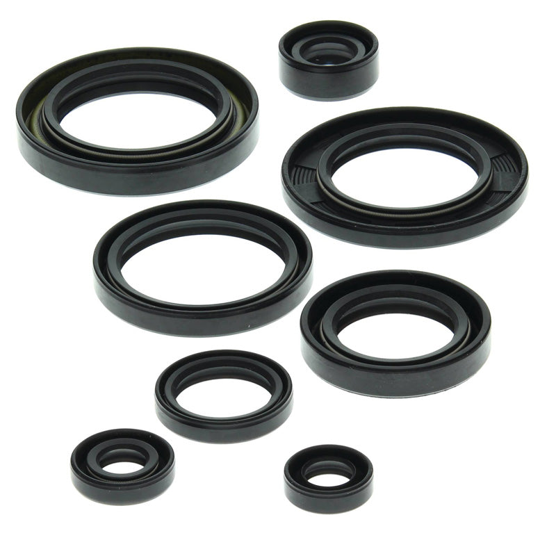 VERTEX OIL SEAL KIT LT 500R 1988-90 822149