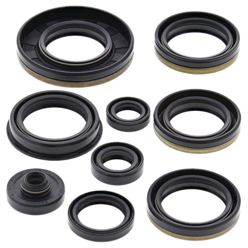 VERTEX OIL SEAL KIT RM250 2003-05 822227