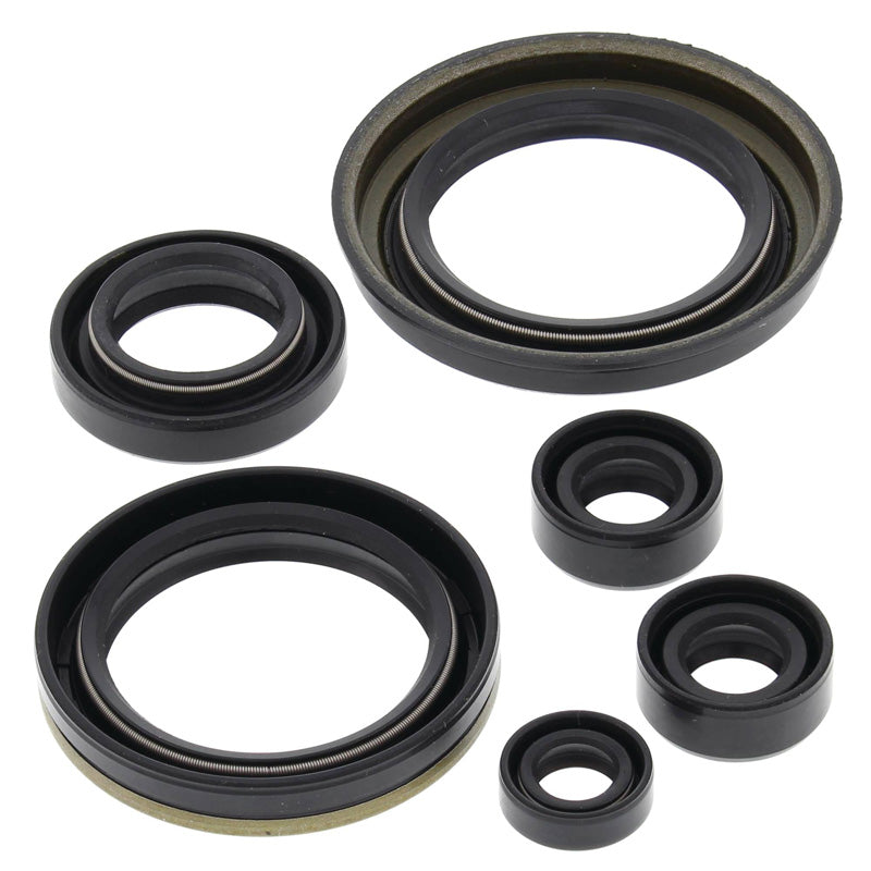 VERTEX OIL SEAL KIT LT230E 87-93 822280
