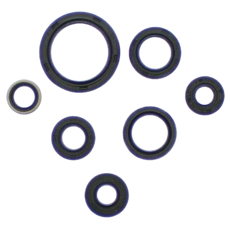 VERTEX OIL SEAL KIT KSF250 MOJAVE 87-04 822323