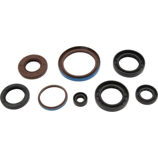 VERTEX OIL SEAL KIT 822381