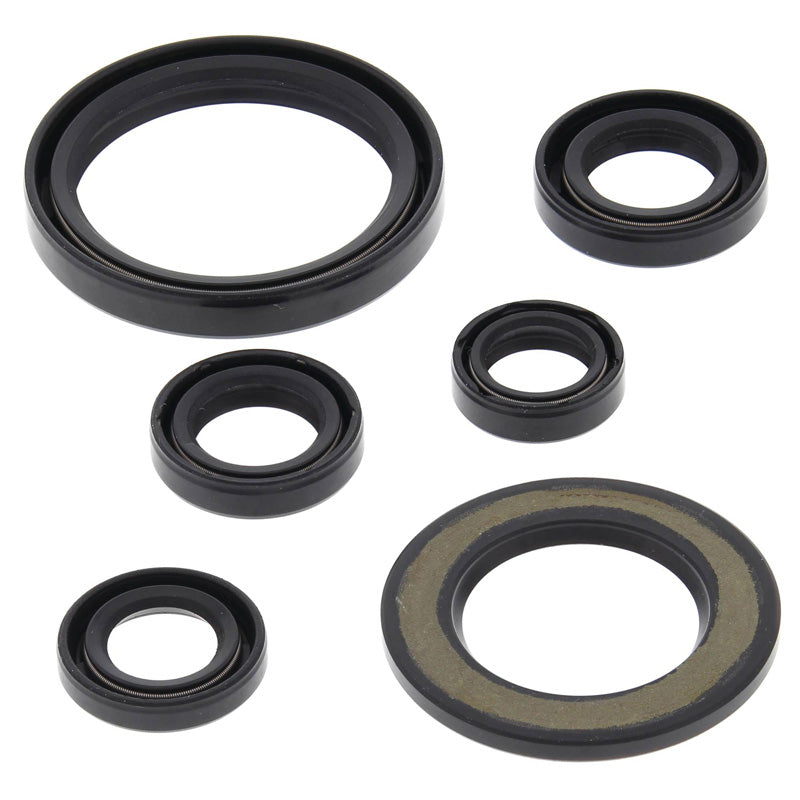 VERTEX OIL SEAL KIT 822338