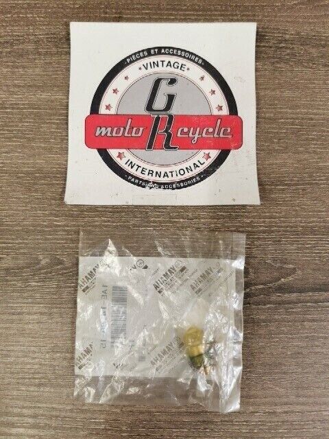 NOS YAMAHA EX570SXT MM600PC SX500D SX500F NEEDLE VALVE ASSY 1AE-14190-15-00 Y104