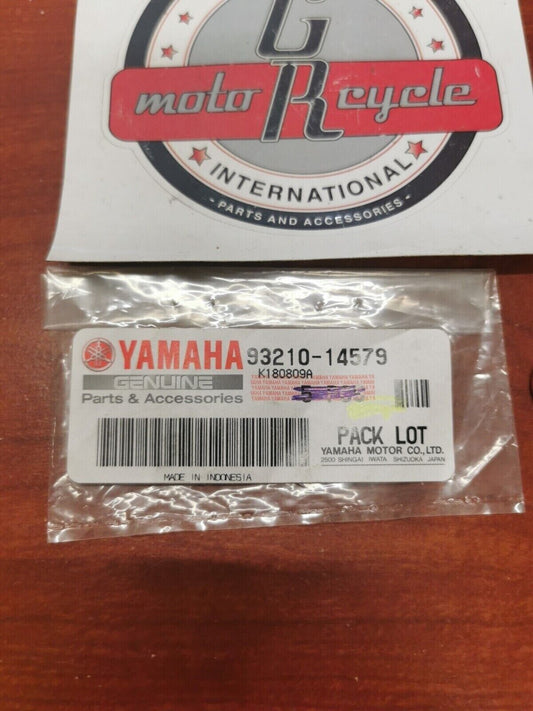 NOS Yamaha EF1600 YP20 YP30 EF2400 YXP700 YXP1000 O-RING 93210-14579-00 Y81