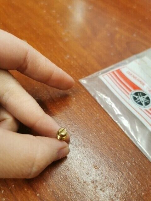 NOS Yamaha 1980 1981 YT125 AIR ADJUSTING SCREW 3X3-14123-00-00 Y144