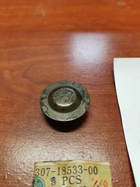 NOS Yamaha AS2C CS3 CS5 LS2 RD125 RD200 YL1 BLIND PLUG 307-18533-00-00 Y116