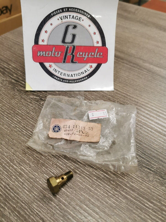 NOS YAMAHA   TY250  1974 1975  MAIN JET  434-14343-53-00  Y58