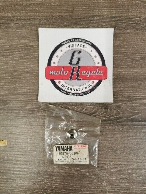 NOS YAMAHA TDM850 FZR1000F FZR600RE FZR400A XJ750J NUT 90179-06306-00 Y145