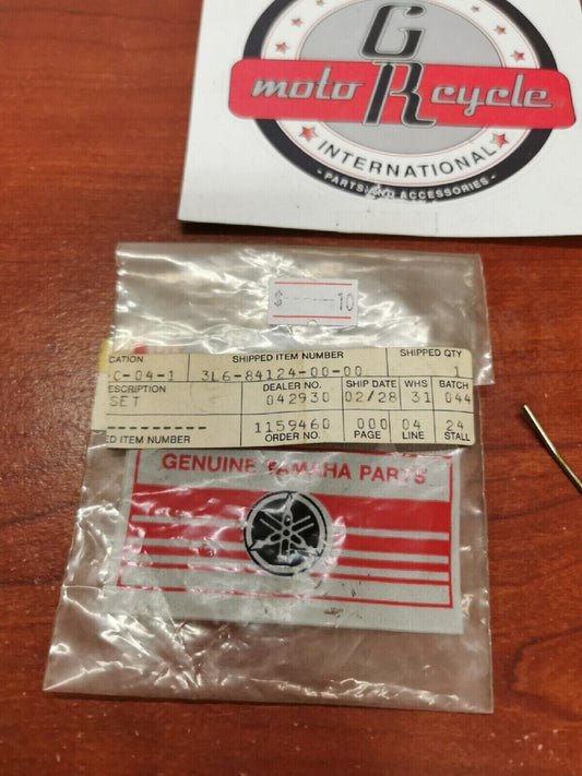 NOS Yamaha SPRING 3L6-84124-00-00 Y69