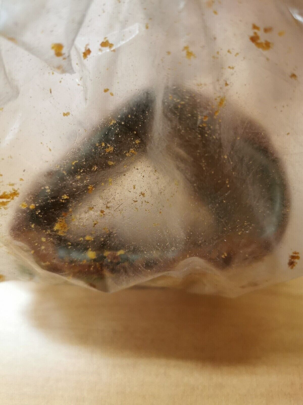 NOS YAMAHA YZ250 YZ360 1975 ELEMENT AIR CLNR 2 SOLD FOR CAGE 483-14461-00-00 Y39