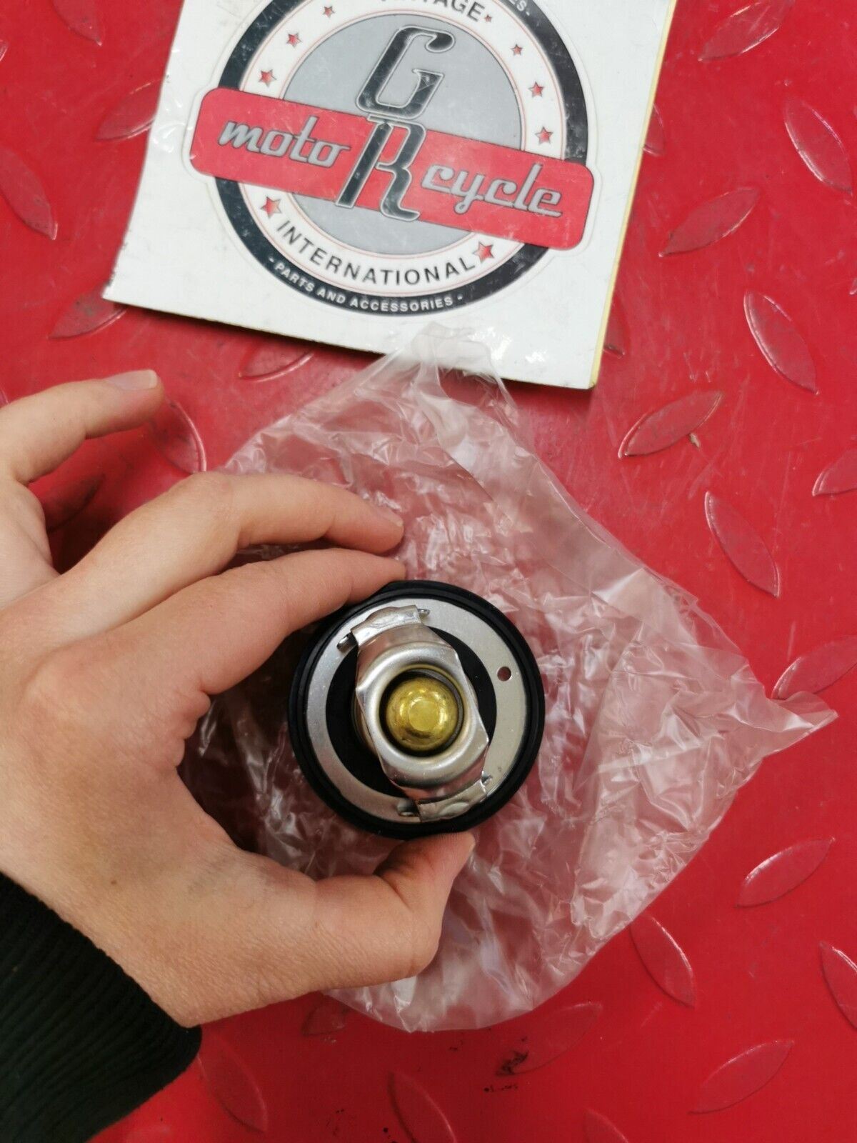 NOS Yamaha FZR6 YZFR6 FZ6R FZ6 R6 THERMOSTAT 5SL-12410-00-00 Y41