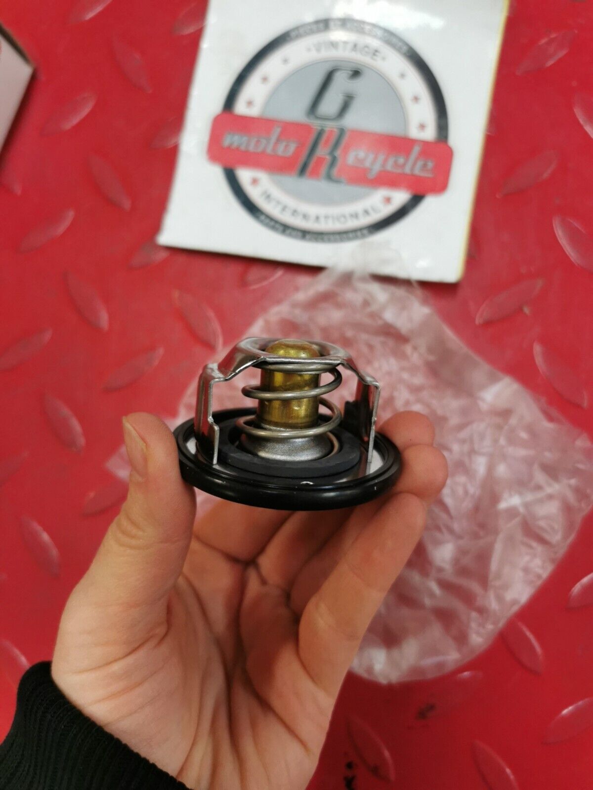 NOS Yamaha FZR6 YZFR6 FZ6R FZ6 R6 THERMOSTAT 5SL-12410-00-00 Y41