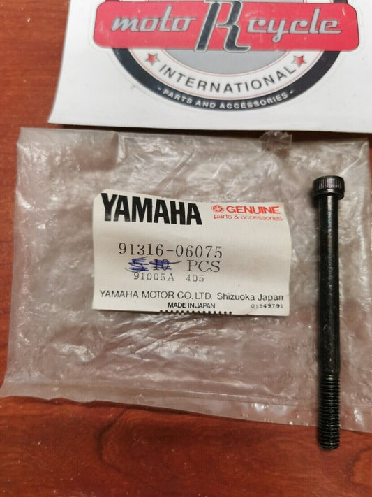 NOS YAMAHA YZ490 DT250 IT175 BOLT 91316-06075-00 SUB. 91317-06075-00 Y72